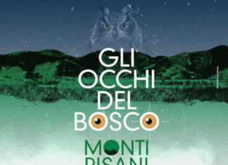 Gli occhi del bosco. Banchini nei coop.fi per i Monti Pisani Gli Occhi del bosco