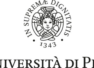 Alla scoperta dei musei di Pisa