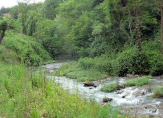 Liberi dai rifuti: tappa al fiume Elsa il 18/5 Liberi dai rifiuti