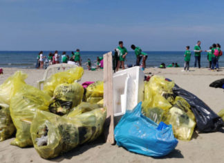 In 350 a Calambrone per Liberi dai rifiuti In 350 a Calambrone per Liberi dai rifiuti