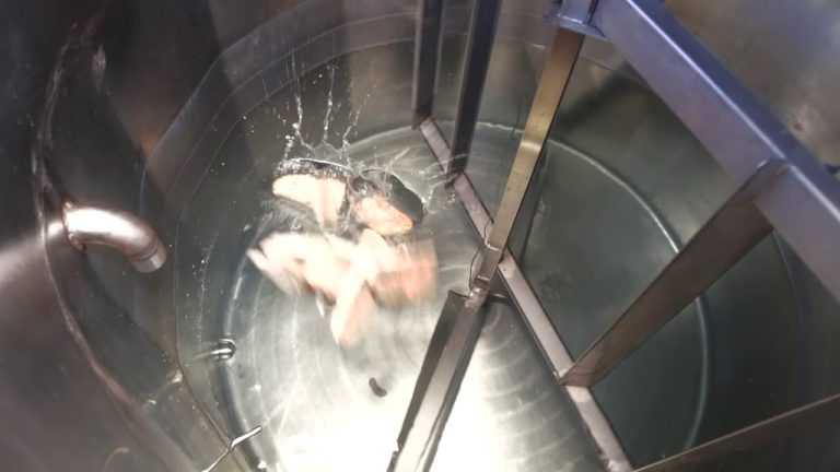 Dal chicco al boccale