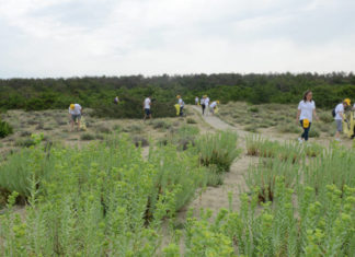 Liberi dai rifiuti: il 24/ 5 a Calambrone Liberi dai rifiuti