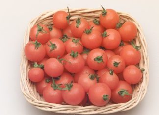 Il giorno del pomodoro Il giorno del pomodoro