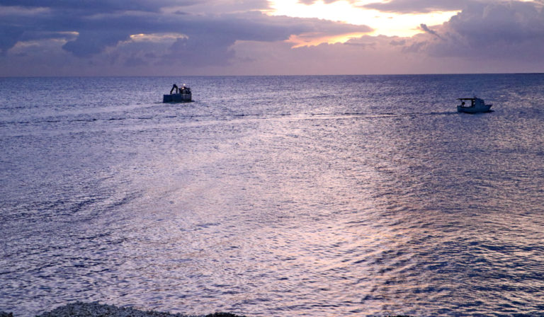 Dall’Arcipelago toscano al supermercato