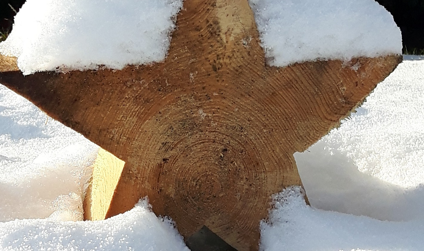 Il Ceppo di Natale | informatorecoopfi.it