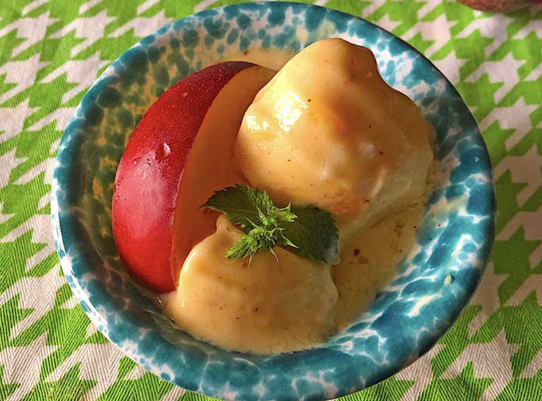 Il gelato fatto in casa senza gelatiera di Luisanna Messeri