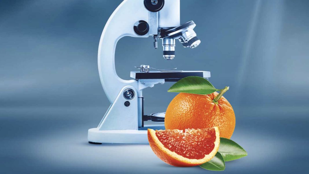 Tornano le arance per la ricerca nei Coop.fi