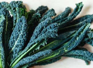 Il pesto incavolato di Luisanna Messeri Il pesto incavolato di Luisanna Messeri