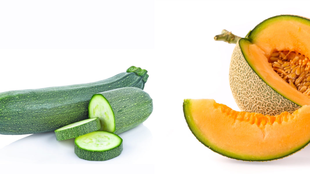 Gemelli diversi: zucchine e melone
