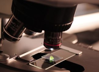 Bright-night 2021: il 24/9, tra i molti eventi, anche “180 secondi di scienza”alla Biblioteca Ragionieri di Sesto Fiorentino ricerca