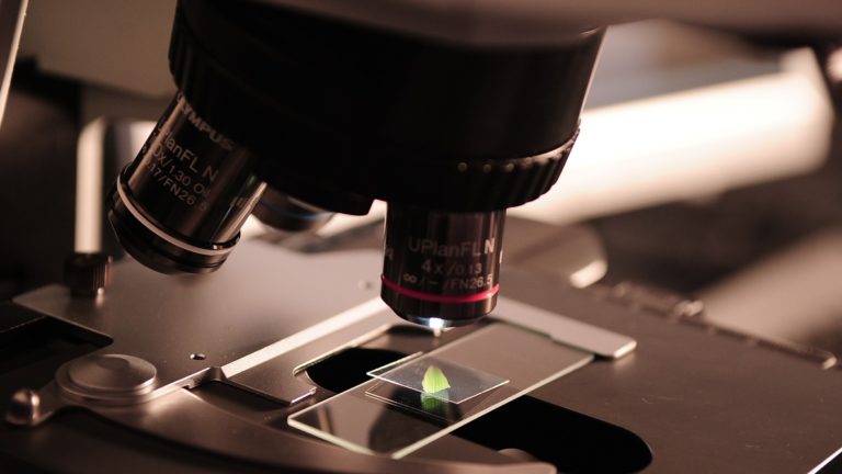 Bright-night 2021: il 24/9, tra i molti eventi, anche “180 secondi di scienza”alla Biblioteca  Ragionieri di Sesto Fiorentino