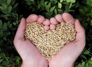 Gaia Nanni legge 5 libri sul tema nutrimento Gaia Nanni legge 5 libri sul tema del nutrimento