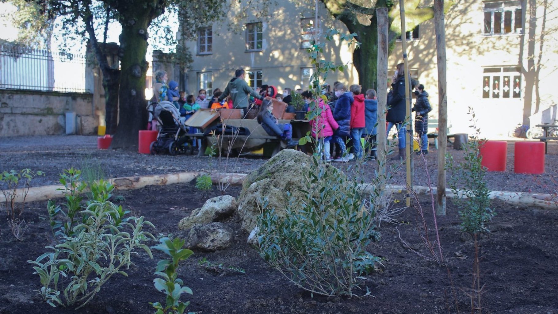 Al via alla scuola Dante Alighieri di Lucca la piantagione del