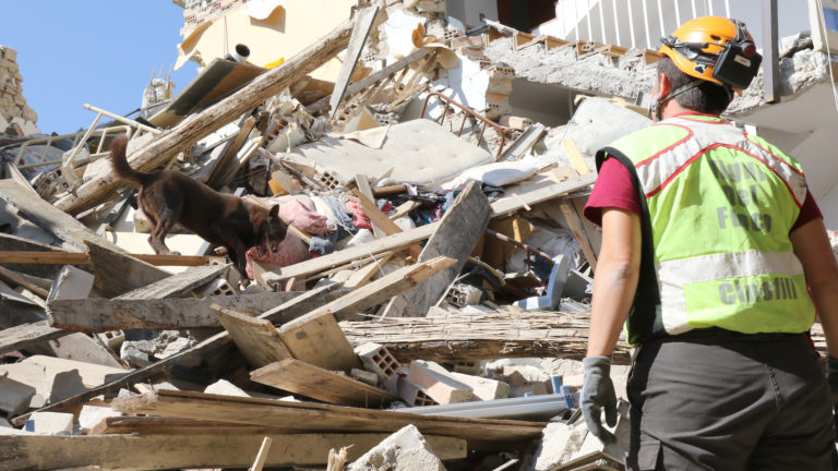 La storia di Margot e degli altri