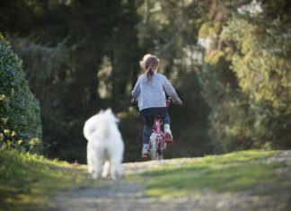 Torna Bimbinbici! Torna Bimbinbici