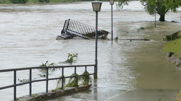 Cena di solidarietà