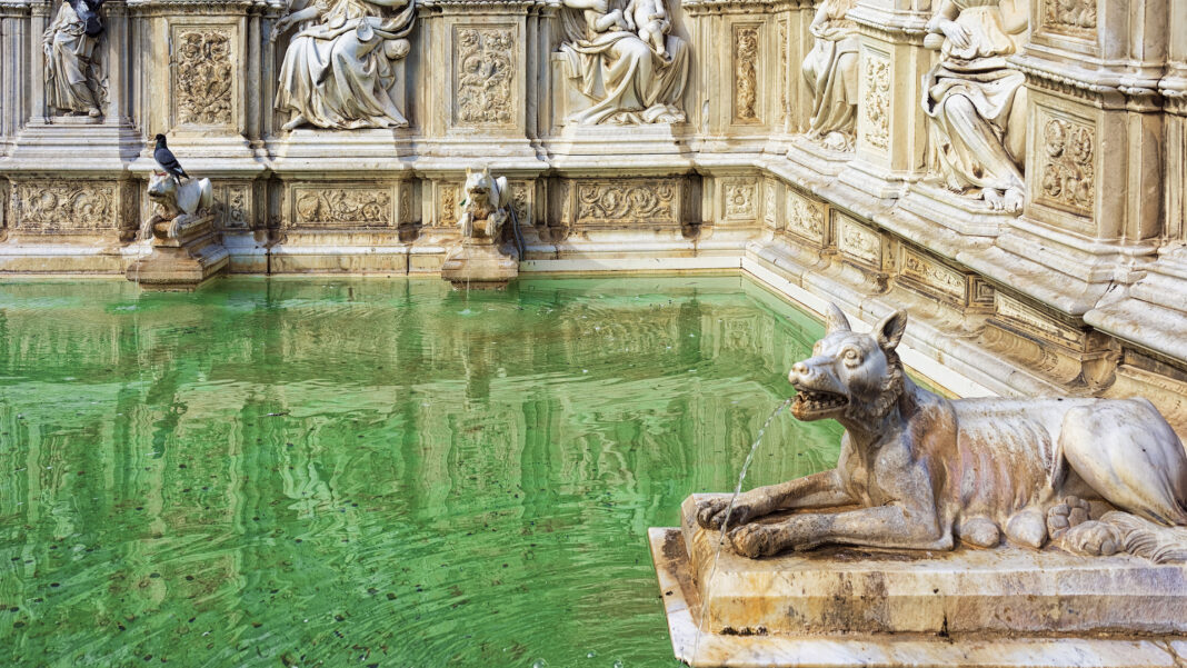 Fonte Gaia Siena