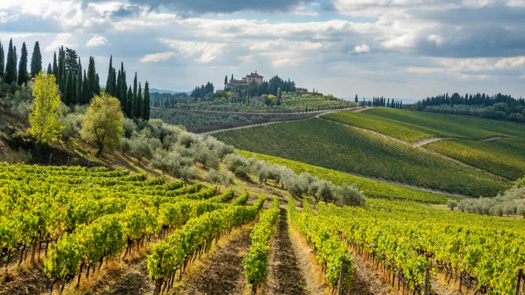 Radda in Chianti