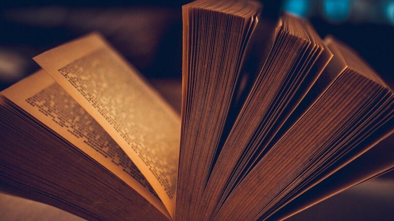 Guppo di lettura in inglese