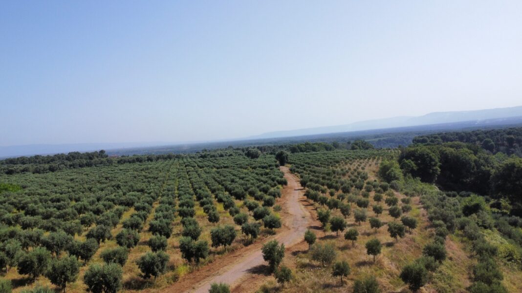 La filiera dei prodotti Libera Terra
