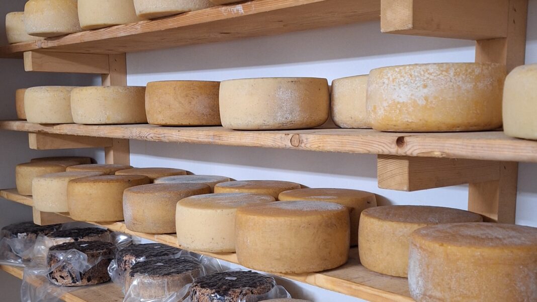 Formaggi della Garfagnana