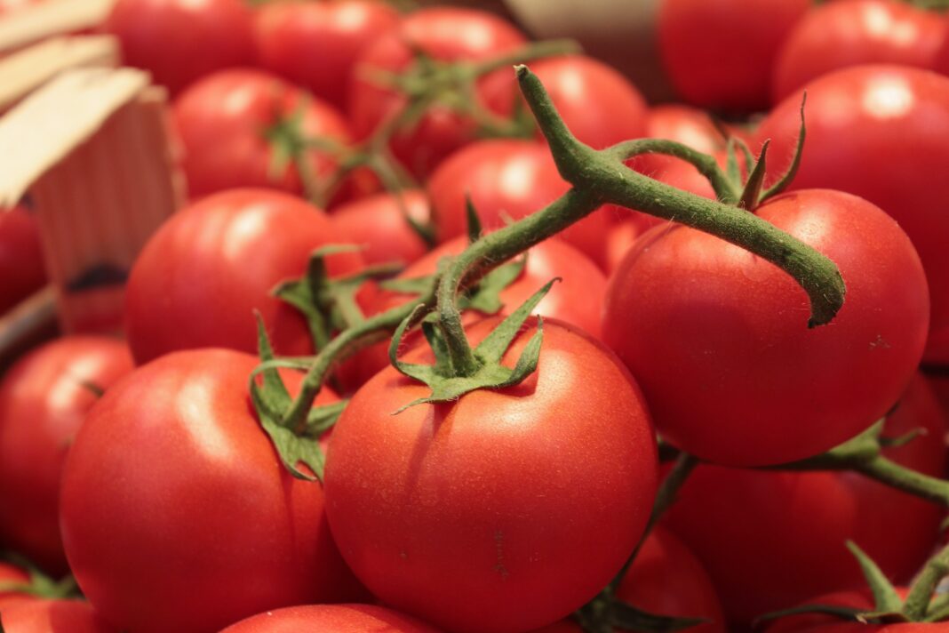 Pomodori rossi a grappolo per la Fondazione Il Cuore si scioglie