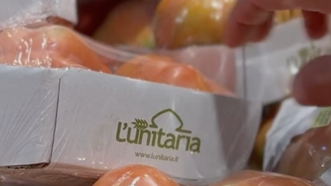 L'Unitaria una storia di cooperazione e innovazione