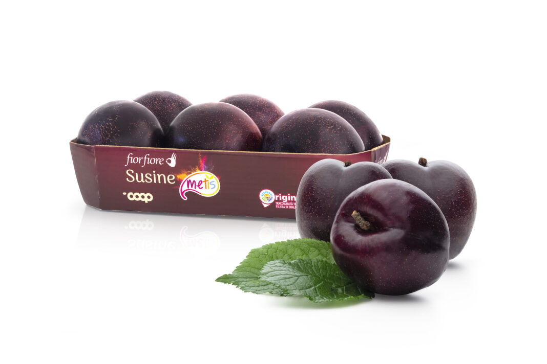 Susine Metis Fior fiore