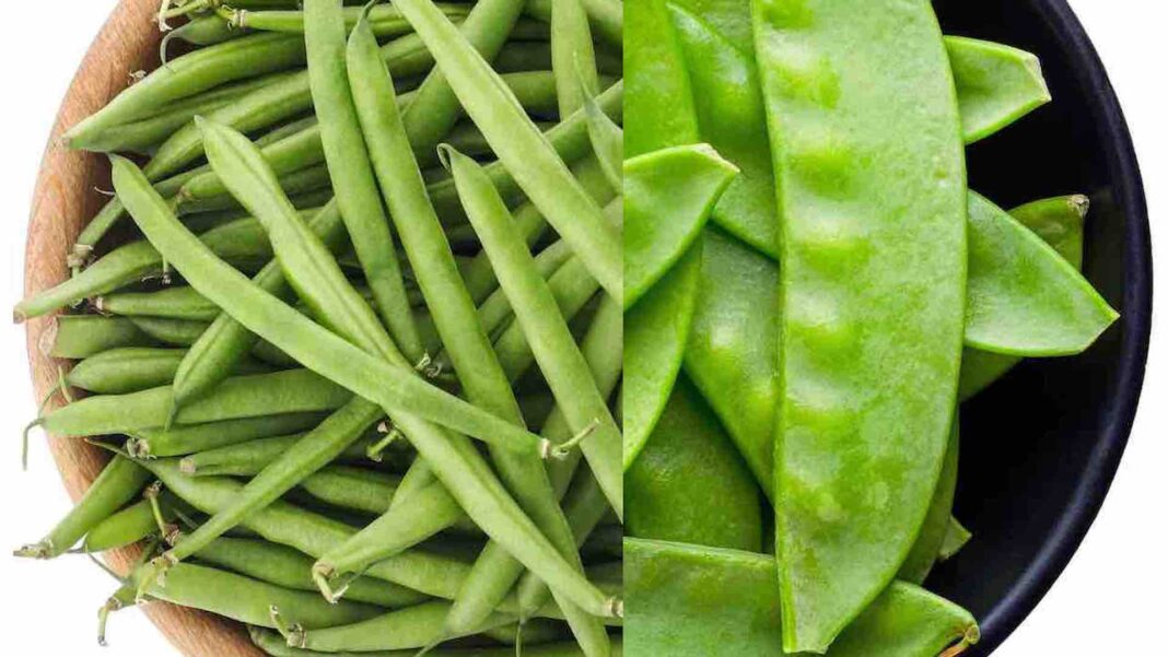 Taccole e fagiolini
