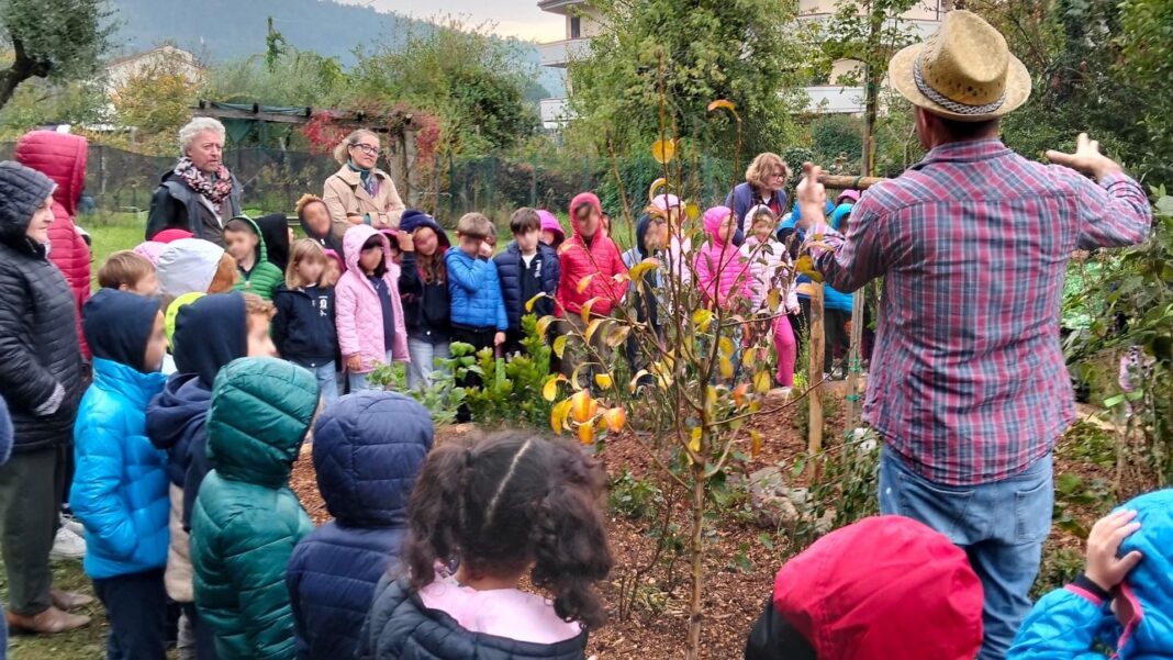 Il bosco didattico alla primaria G.Rodari di Candeglia
