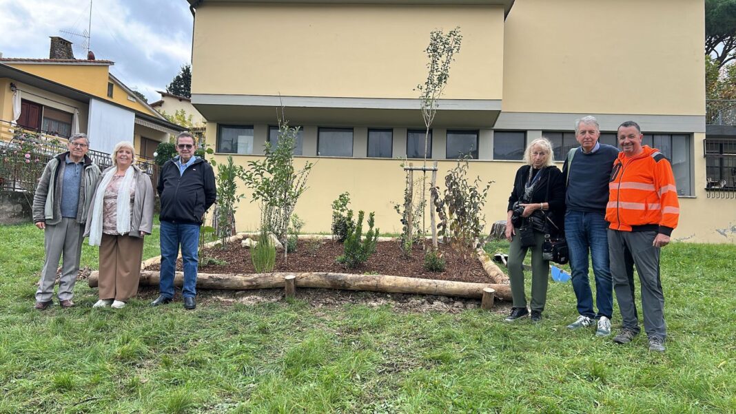 Bosco didattico alla primaria di Tavarnuzze Bosco didattico alla primaria di Tavarnuzze