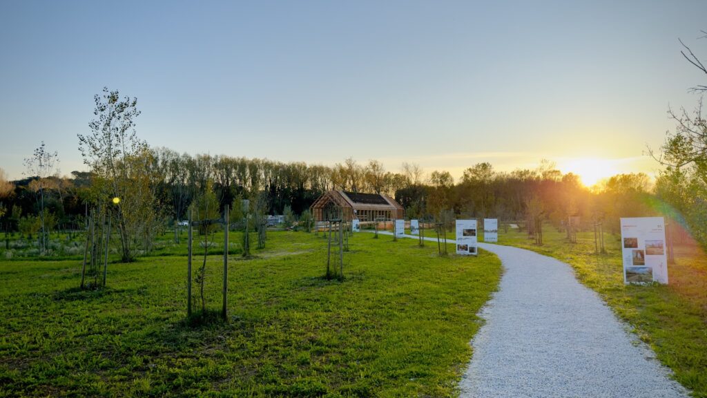 Novità per il bosco di Montopoli in Val d'Arno