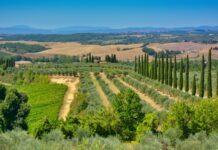 Il nostro impegno sul territorio a sostegno dell’economia toscana Il nostro impegno per il territorio