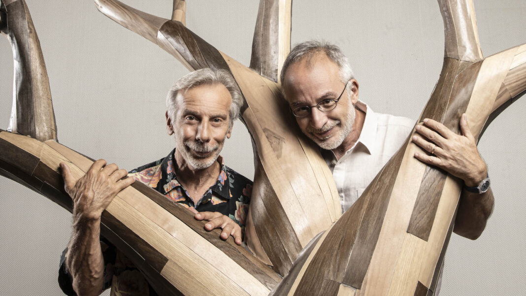 Lunga vita agli alberi - Foto L.Pozzo