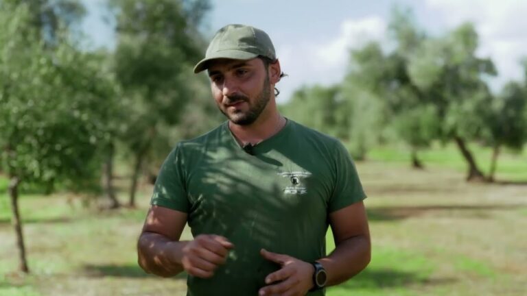 La storia dell’olio Fior fiore Coop