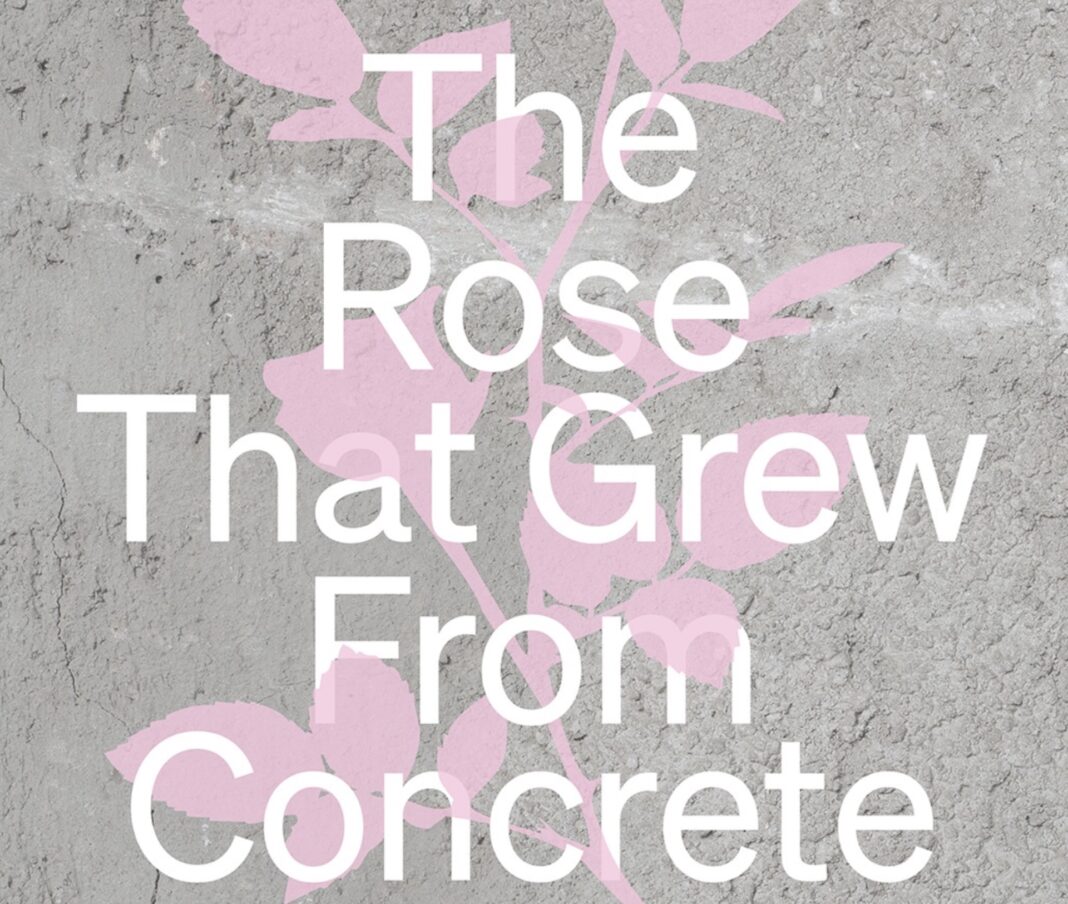 The Rose that Grew from Concrete