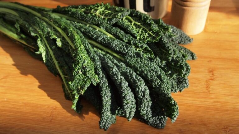 Il re della stagione invernale: il cavolo nero