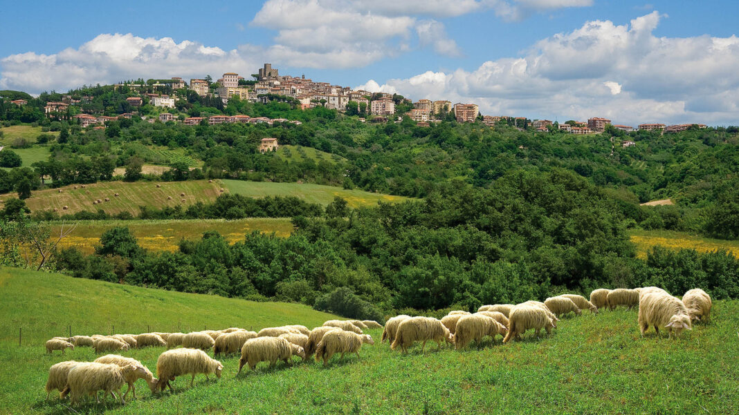 La storia del Caseificio Sociale Manciano