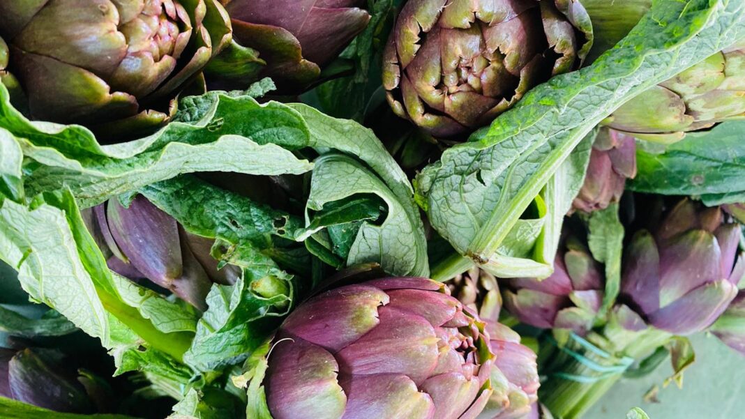 La storia dell'azienda agricola Ercolani