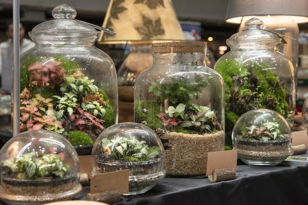 Come costruire un terrario. Foto F. Magonio