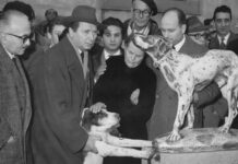 La storia del cane Fido La statua dedicata a Fido a Borgo san Lorenzo