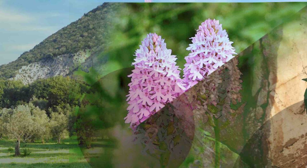 Coop e il territorio