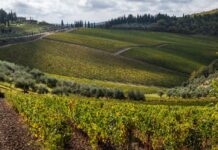 Insieme per l’eccellenza toscana a tavola Foto Nicola Santini