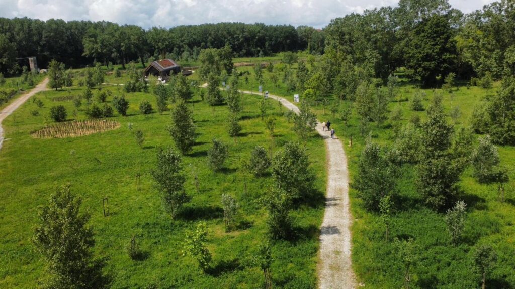 Bosco di Montopoli in Val d'Arno, maggio 2026