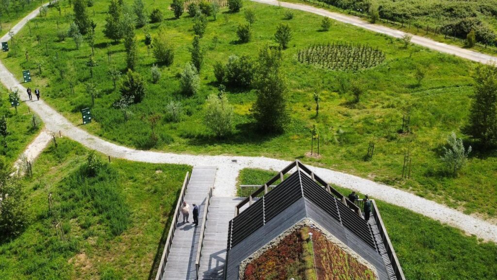 Aula didattica Bosco di Montopoli in Val d'Arno, maggio 2026