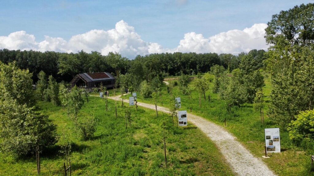 Bosco di Montopoli in Val d'Arno, maggio 2026