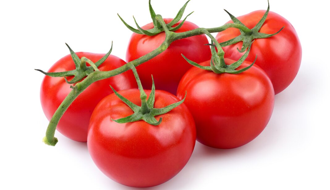 Pomodoro rosso a grappolo