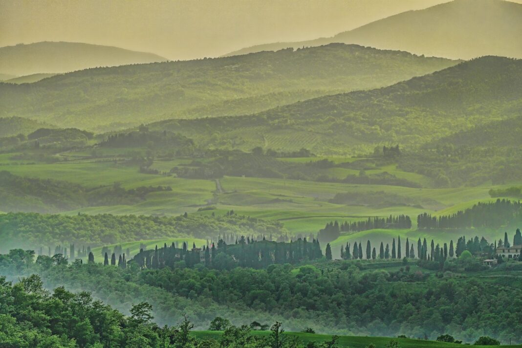 Sulle colline di Scandicci