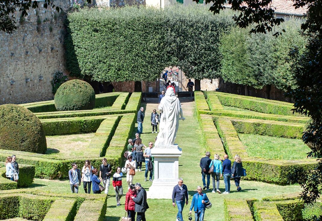 Foro F. Magonio