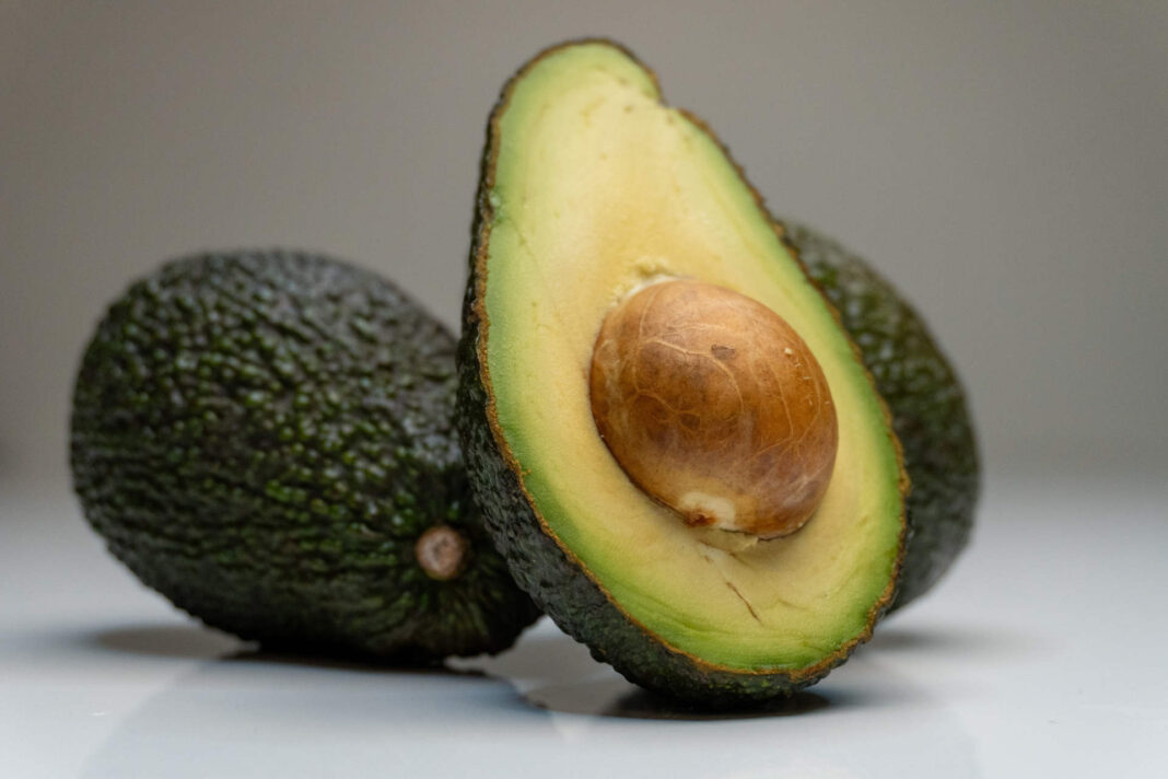 Avocado. Foto di JohnyVid da Pixabay